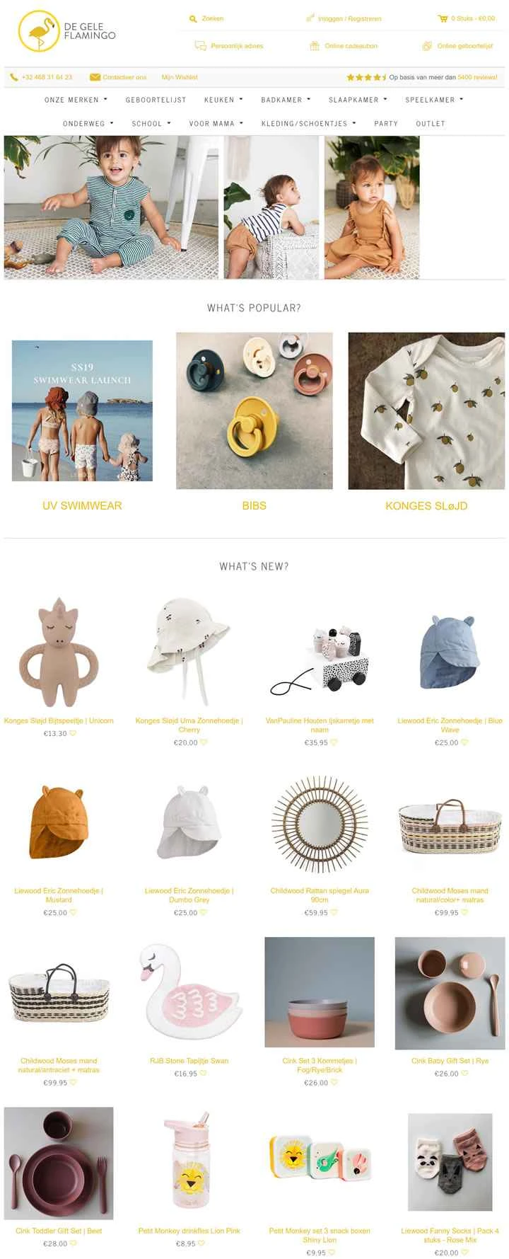 黄色いフラミンゴ：De Gele Flamingo