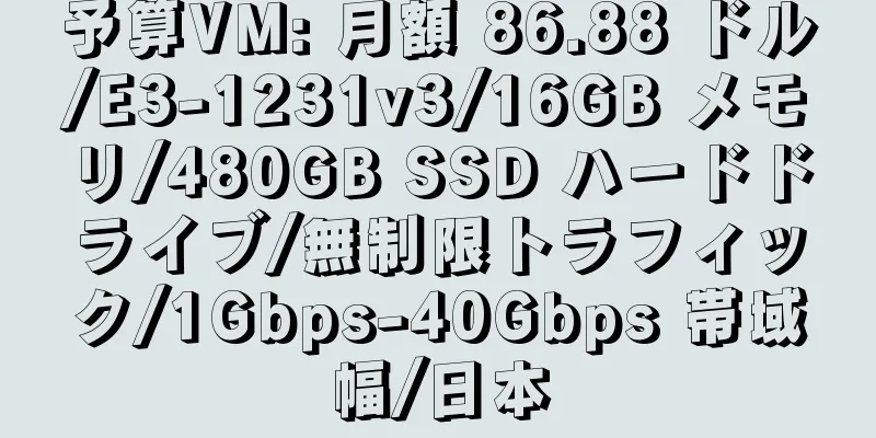 予算VM: 月額 86.88 ドル/E3-1231v3/16GB メモリ/480GB SSD ハードドライブ/無制限トラフィック/1Gbps-40Gbps 帯域幅/日本