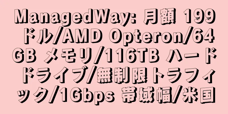 ManagedWay: 月額 199 ドル/AMD Opteron/64GB メモリ/116TB ハードドライブ/無制限トラフィック/1Gbps 帯域幅/米国