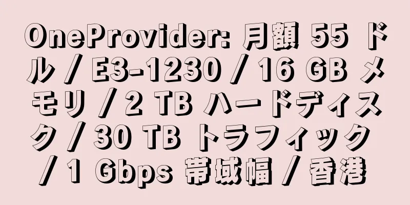 OneProvider: 月額 55 ドル / E3-1230 / 16 GB メモリ / 2 TB ハードディスク / 30 TB トラフィック / 1 Gbps 帯域幅 / 香港