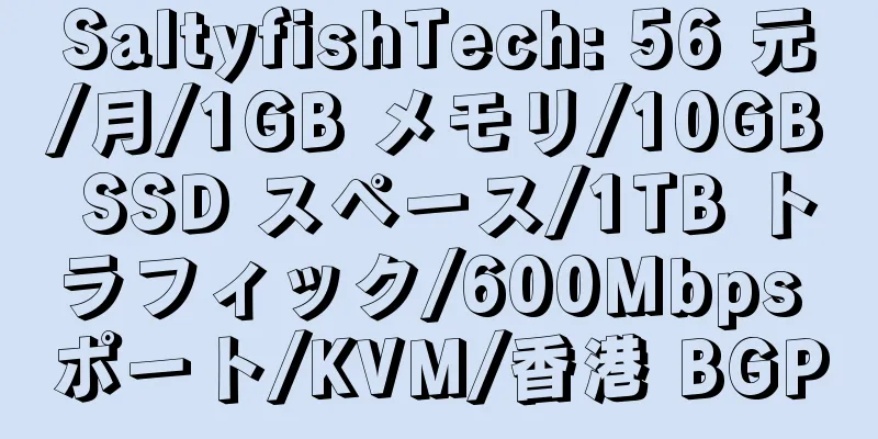 SaltyfishTech: 56 元/月/1GB メモリ/10GB SSD スペース/1TB トラフィック/600Mbps ポート/KVM/香港 BGP