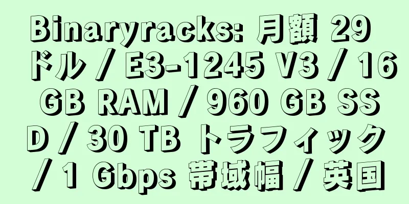 Binaryracks: 月額 29 ドル / E3-1245 V3 / 16 GB RAM / 960 GB SSD / 30 TB トラフィック / 1 Gbps 帯域幅 / 英国