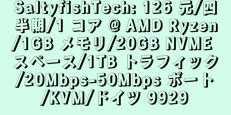 SaltyfishTech: 126 元/四半期/1 コア @ AMD Ryzen/1GB メモリ/20GB NVME スペース/1TB トラフィック/20Mbps-50Mbps ポート/KVM/ドイツ 9929