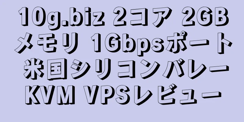 10g.biz 2コア 2GBメモリ 1Gbpsポート 米国シリコンバレーKVM VPSレビュー