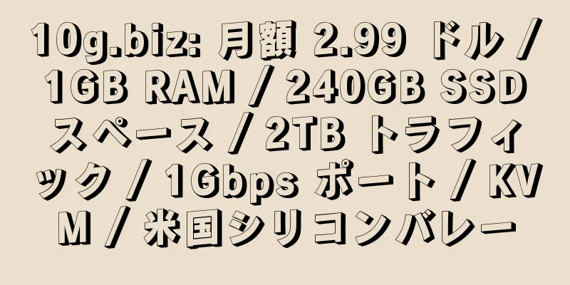 10g.biz: 月額 2.99 ドル / 1GB RAM / 240GB SSD スペース / 2TB トラフィック / 1Gbps ポート / KVM / 米国シリコンバレー