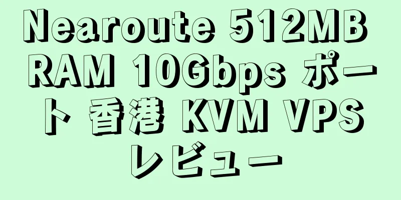 Nearoute 512MB RAM 10Gbps ポート 香港 KVM VPS レビュー