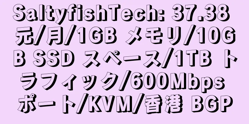 SaltyfishTech: 37.38 元/月/1GB メモリ/10GB SSD スペース/1TB トラフィック/600Mbps ポート/KVM/香港 BGP