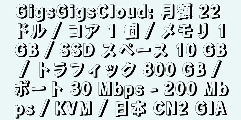 GigsGigsCloud: 月額 22 ドル / コア 1 個 / メモリ 1 GB / SSD スペース 10 GB / トラフィック 800 GB / ポート 30 Mbps - 200 Mbps / KVM / 日本 CN2 GIA