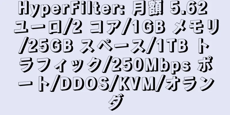 HyperFilter: 月額 5.62 ユーロ/2 コア/1GB メモリ/25GB スペース/1TB トラフィック/250Mbps ポート/DDOS/KVM/オランダ