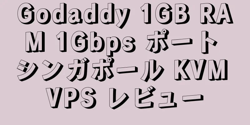 Godaddy 1GB RAM 1Gbps ポート シンガポール KVM VPS レビュー