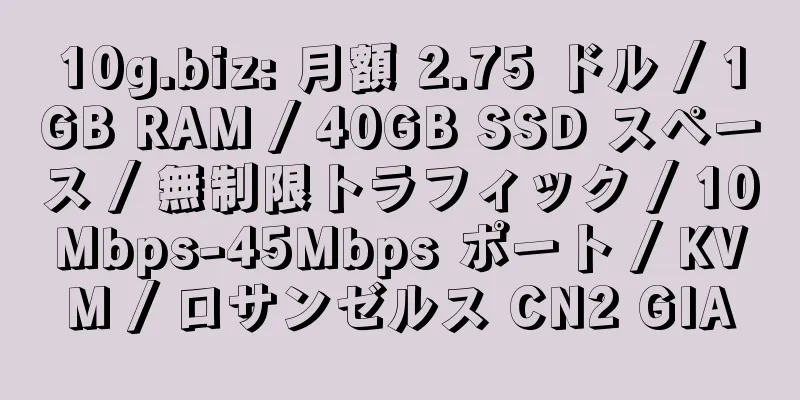 10g.biz: 月額 2.75 ドル / 1GB RAM / 40GB SSD スペース / 無制限トラフィック / 10Mbps-45Mbps ポート / KVM / ロサンゼルス CN2 GIA