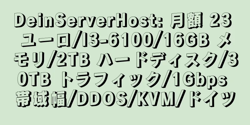 DeinServerHost: 月額 23 ユーロ/I3-6100/16GB メモリ/2TB ハードディスク/30TB トラフィック/1Gbps 帯域幅/DDOS/KVM/ドイツ