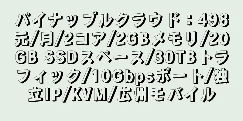 パイナップルクラウド：498元/月/2コア/2GBメモリ/20GB SSDスペース/30TBトラフィック/10Gbpsポート/独立IP/KVM/広州モバイル