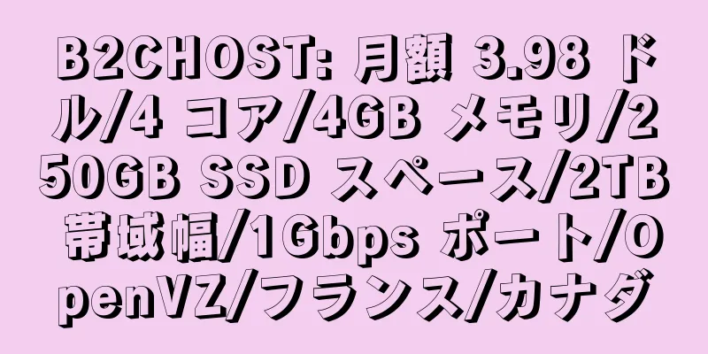 B2CHOST: 月額 3.98 ドル/4 コア/4GB メモリ/250GB SSD スペース/2TB 帯域幅/1Gbps ポート/OpenVZ/フランス/カナダ