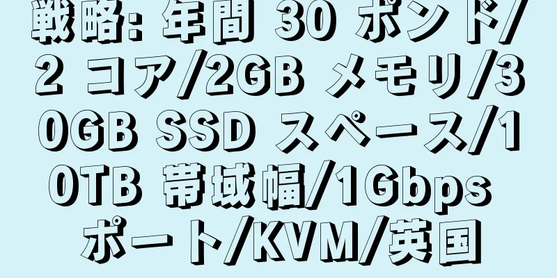 戦略: 年間 30 ポンド/2 コア/2GB メモリ/30GB SSD スペース/10TB 帯域幅/1Gbps ポート/KVM/英国