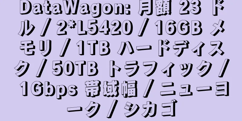 DataWagon: 月額 23 ドル / 2*L5420 / 16GB メモリ / 1TB ハードディスク / 50TB トラフィック / 1Gbps 帯域幅 / ニューヨーク / シカゴ