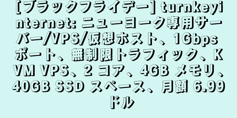 [ブラックフライデー] turnkeyinternet: ニューヨーク専用サーバー/VPS/仮想ホスト、1Gbps ポート、無制限トラフィック、KVM VPS、2 コア、4GB メモリ、40GB SSD スペース、月額 6.99 ドル