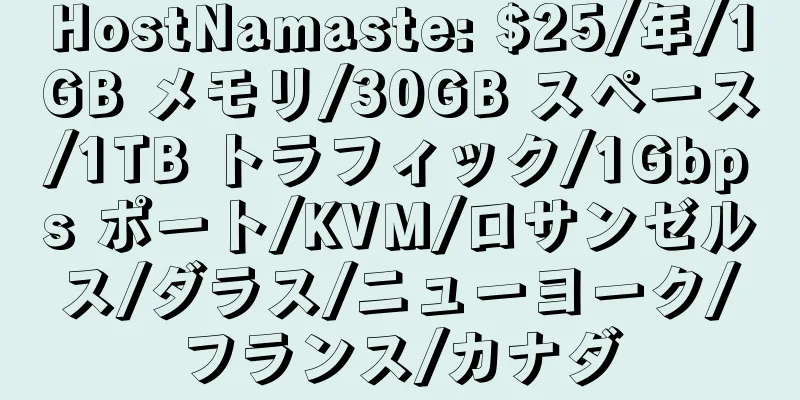 HostNamaste: $25/年/1GB メモリ/30GB スペース/1TB トラフィック/1Gbps ポート/KVM/ロサンゼルス/ダラス/ニューヨーク/フランス/カナダ