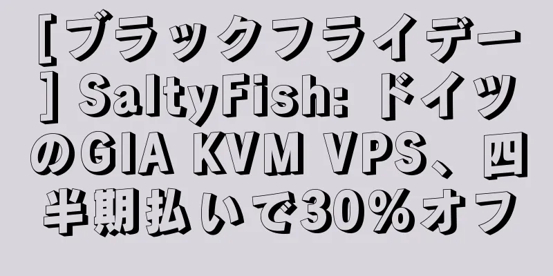 [ブラックフライデー] SaltyFish: ドイツのGIA KVM VPS、四半期払いで30%オフ