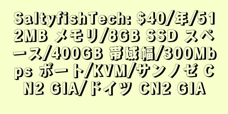 SaltyfishTech: $40/年/512MB メモリ/8GB SSD スペース/400GB 帯域幅/300Mbps ポート/KVM/サンノゼ CN2 GIA/ドイツ CN2 GIA