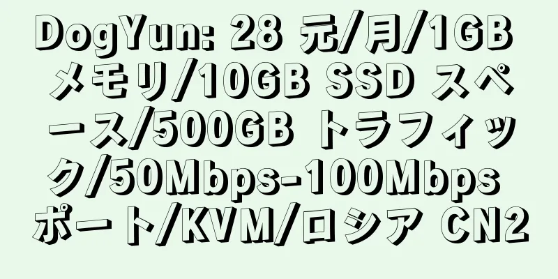 DogYun: 28 元/月/1GB メモリ/10GB SSD スペース/500GB トラフィック/50Mbps-100Mbps ポート/KVM/ロシア CN2