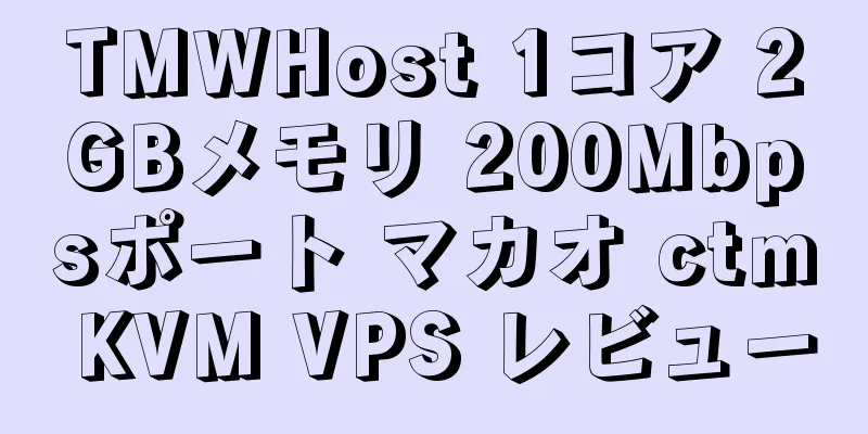 TMWHost 1コア 2GBメモリ 200Mbpsポート マカオ ctm KVM VPS レビュー