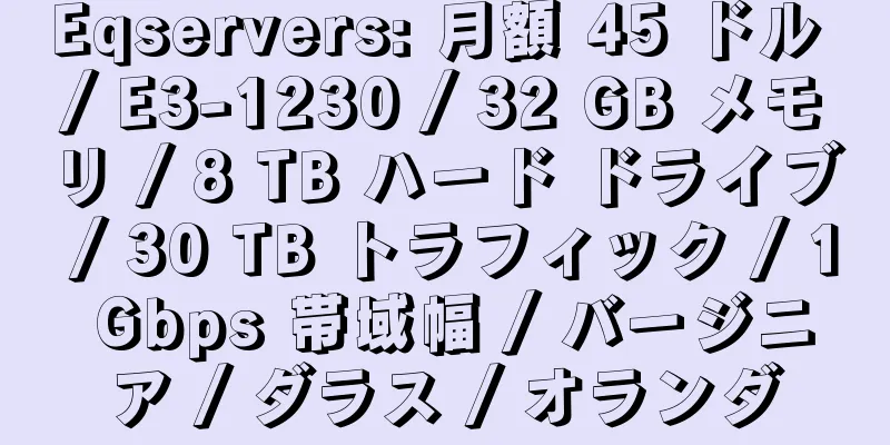 Eqservers: 月額 45 ドル / E3-1230 / 32 GB メモリ / 8 TB ハード ドライブ / 30 TB トラフィック / 1 Gbps 帯域幅 / バージニア / ダラス / オランダ