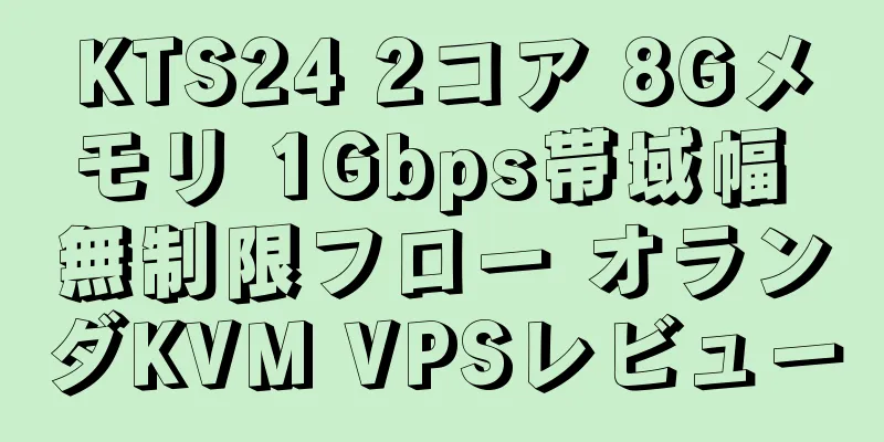 KTS24 2コア 8Gメモリ 1Gbps帯域幅 無制限フロー オランダKVM VPSレビュー