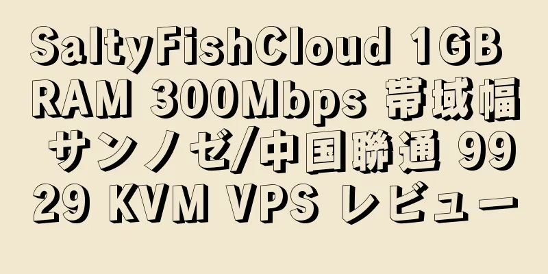 SaltyFishCloud 1GB RAM 300Mbps 帯域幅 サンノゼ/中国聯通 9929 KVM VPS レビュー