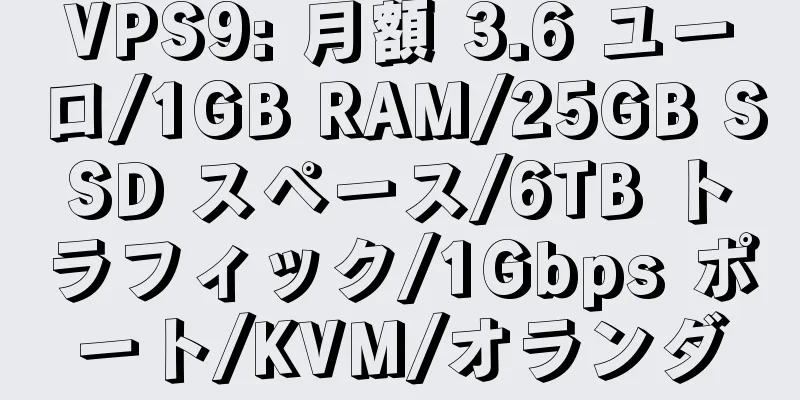 VPS9: 月額 3.6 ユーロ/1GB RAM/25GB SSD スペース/6TB トラフィック/1Gbps ポート/KVM/オランダ