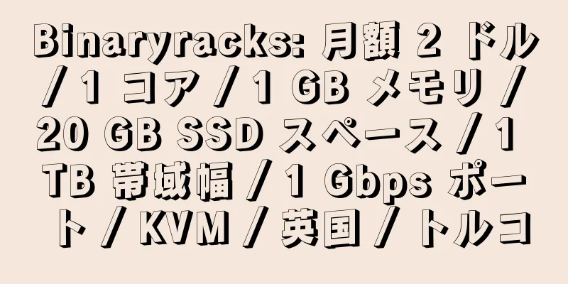 Binaryracks: 月額 2 ドル / 1 コア / 1 GB メモリ / 20 GB SSD スペース / 1 TB 帯域幅 / 1 Gbps ポート / KVM / 英国 / トルコ