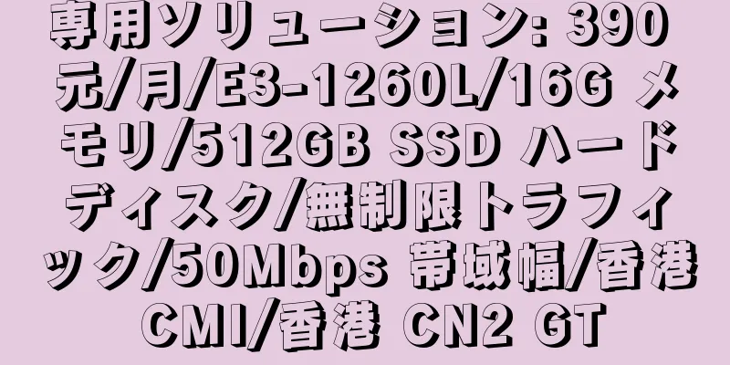 専用ソリューション: 390 元/月/E3-1260L/16G メモリ/512GB SSD ハードディスク/無制限トラフィック/50Mbps 帯域幅/香港 CMI/香港 CN2 GT