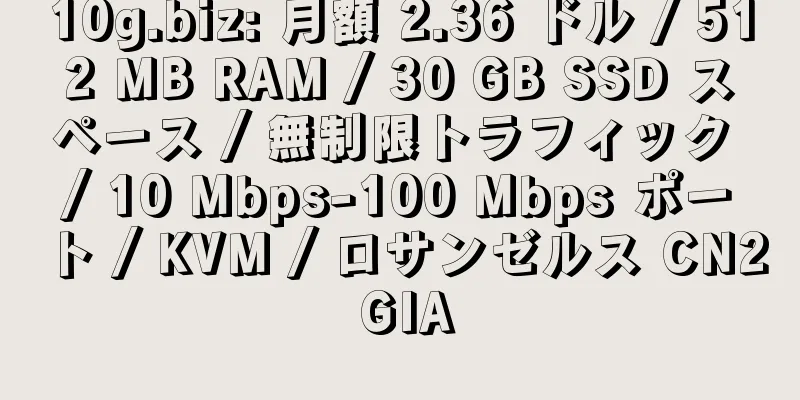 10g.biz: 月額 2.36 ドル / 512 MB RAM / 30 GB SSD スペース / 無制限トラフィック / 10 Mbps-100 Mbps ポート / KVM / ロサンゼルス CN2 GIA