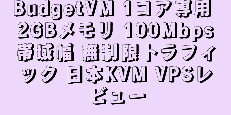 BudgetVM 1コア専用 2GBメモリ 100Mbps帯域幅 無制限トラフィック 日本KVM VPSレビュー