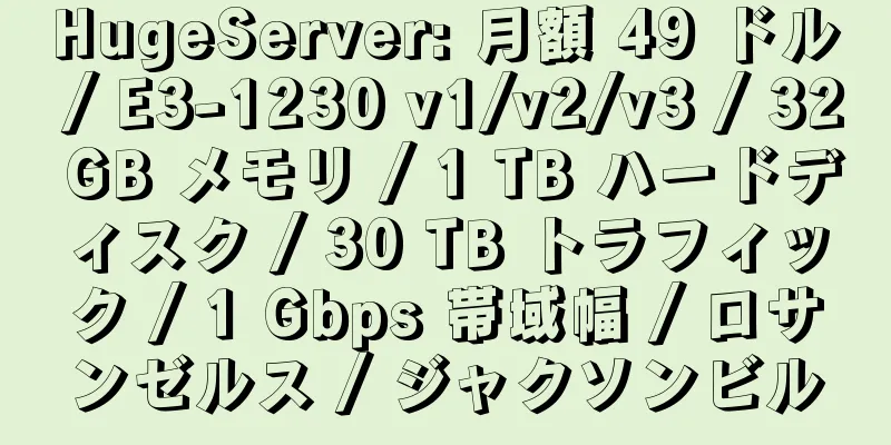 HugeServer: 月額 49 ドル / E3-1230 v1/v2/v3 / 32 GB メモリ / 1 TB ハードディスク / 30 TB トラフィック / 1 Gbps 帯域幅 / ロサンゼルス / ジャクソンビル