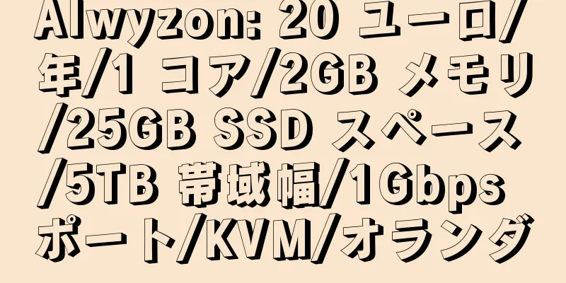 Alwyzon: 20 ユーロ/年/1 コア/2GB メモリ/25GB SSD スペース/5TB 帯域幅/1Gbps ポート/KVM/オランダ