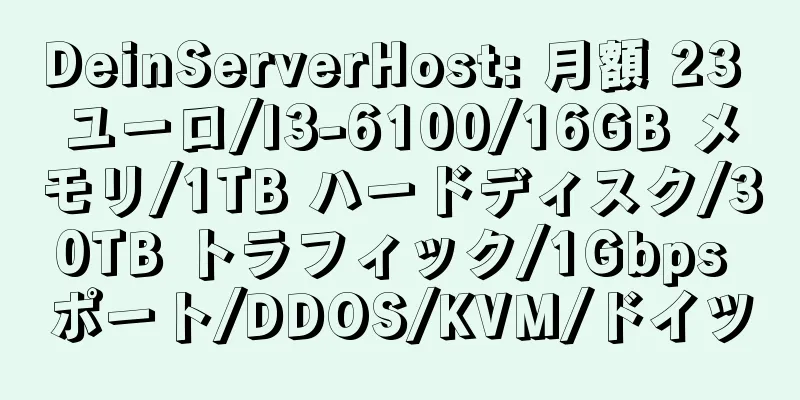 DeinServerHost: 月額 23 ユーロ/I3-6100/16GB メモリ/1TB ハードディスク/30TB トラフィック/1Gbps ポート/DDOS/KVM/ドイツ