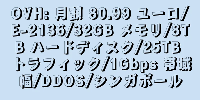 OVH: 月額 80.99 ユーロ/E-2136/32GB メモリ/8TB ハードディスク/25TB トラフィック/1Gbps 帯域幅/DDOS/シンガポール