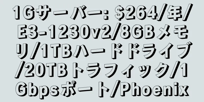 1Gサーバー: $264/年/E3-1230v2/8GBメモリ/1TBハードドライブ/20TBトラフィック/1Gbpsポート/Phoenix