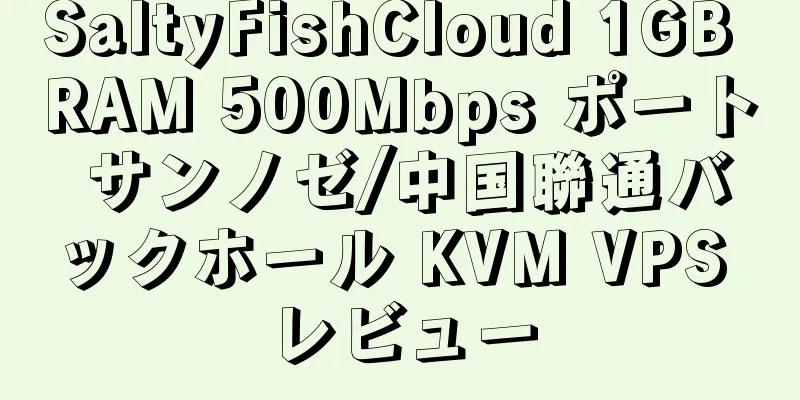 SaltyFishCloud 1GB RAM 500Mbps ポート サンノゼ/中国聯通バックホール KVM VPS レビュー