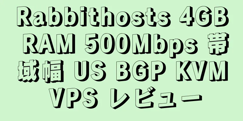 Rabbithosts 4GB RAM 500Mbps 帯域幅 US BGP KVM VPS レビュー