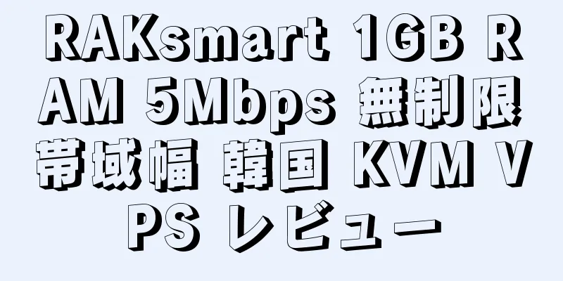 RAKsmart 1GB RAM 5Mbps 無制限帯域幅 韓国 KVM VPS レビュー