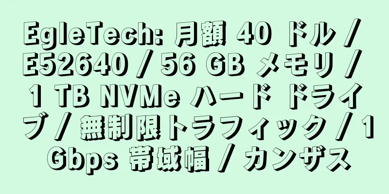 EgleTech: 月額 40 ドル / E52640 / 56 GB メモリ / 1 TB NVMe ハード ドライブ / 無制限トラフィック / 1 Gbps 帯域幅 / カンザス