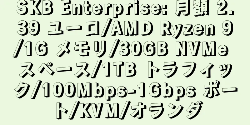 SKB Enterprise: 月額 2.39 ユーロ/AMD Ryzen 9/1G メモリ/30GB NVMe スペース/1TB トラフィック/100Mbps-1Gbps ポート/KVM/オランダ