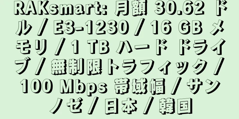 RAKsmart: 月額 30.62 ドル / E3-1230 / 16 GB メモリ / 1 TB ハード ドライブ / 無制限トラフィック / 100 Mbps 帯域幅 / サンノゼ / 日本 / 韓国