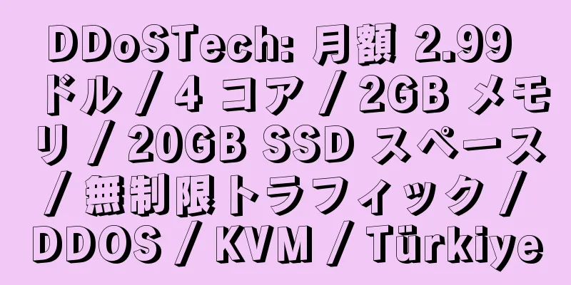 DDoSTech: 月額 2.99 ドル / 4 コア / 2GB メモリ / 20GB SSD スペース / 無制限トラフィック / DDOS / KVM / Türkiye