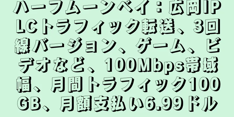 ハーフムーンベイ：広岡IPLCトラフィック転送、3回線バージョン、ゲーム、ビデオなど、100Mbps帯域幅、月間トラフィック100GB、月額支払い6.99ドル