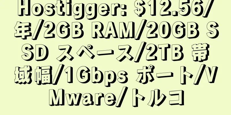 Hostigger: $12.56/年/2GB RAM/20GB SSD スペース/2TB 帯域幅/1Gbps ポート/VMware/トルコ