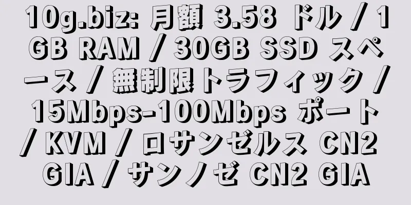 10g.biz: 月額 3.58 ドル / 1GB RAM / 30GB SSD スペース / 無制限トラフィック / 15Mbps-100Mbps ポート / KVM / ロサンゼルス CN2 GIA / サンノゼ CN2 GIA