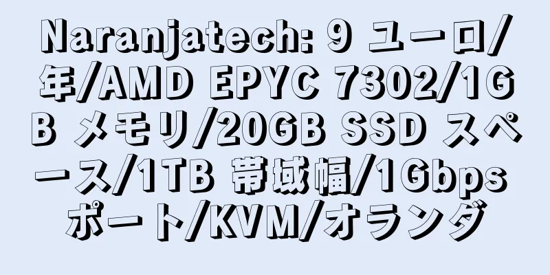 Naranjatech: 9 ユーロ/年/AMD EPYC 7302/1GB メモリ/20GB SSD スペース/1TB 帯域幅/1Gbps ポート/KVM/オランダ